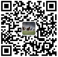 联系方式二维码